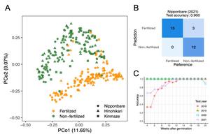Root microbiome dynamics in rice cultivated using fertilized and non-fertilized soil