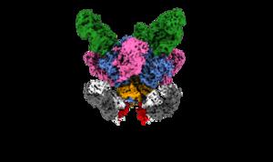 Improving vaccine design for Ebola, HIV and more