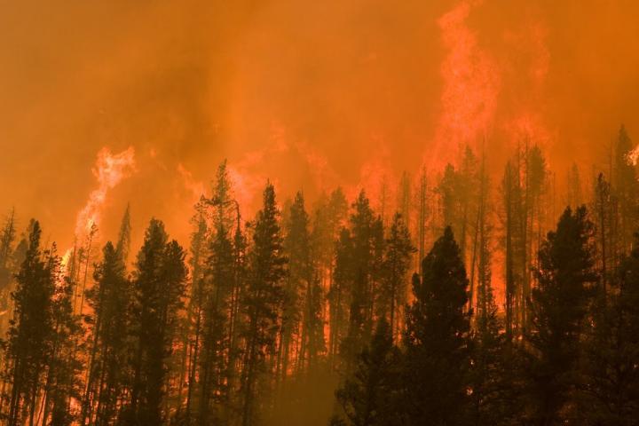 Idaho Wildfire