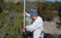 Sevilleta LTER Study