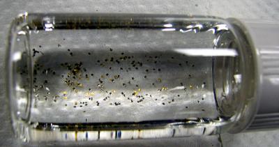 Grippers in Vial