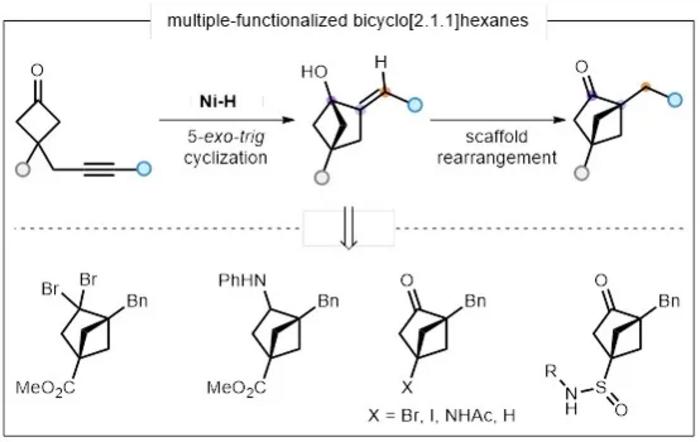 Nickel-catalyzed regioselective hydrogen metallization cyclization of alkynylcyclobutanone to synthesize bicyclo[2.1.1]hexane