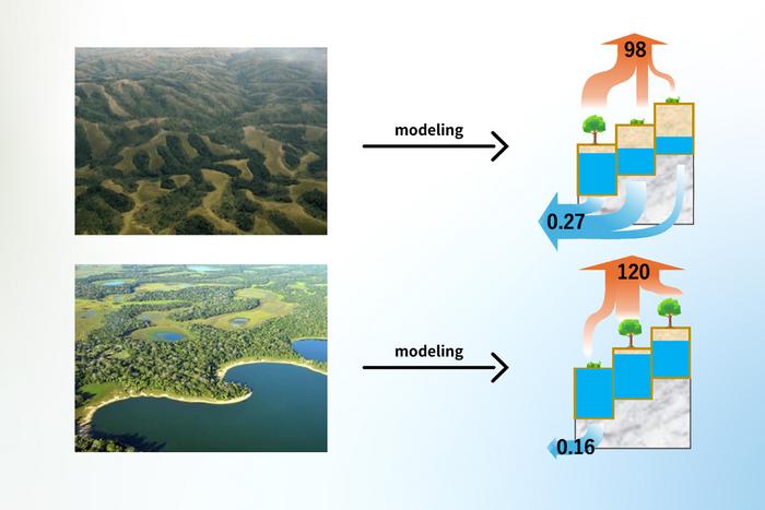 Avoiding static land surface models: improvements in simulating water–energy–vegetation dynamics