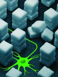 Sugars