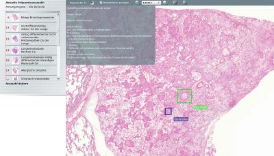 Flexible Learning in a Virtual Microscope Lab