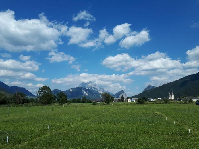 Long-term experiment on nutrient deficiency in grassland at the Raumberg-Gumpenstein Agricultural Research Station in Admont.