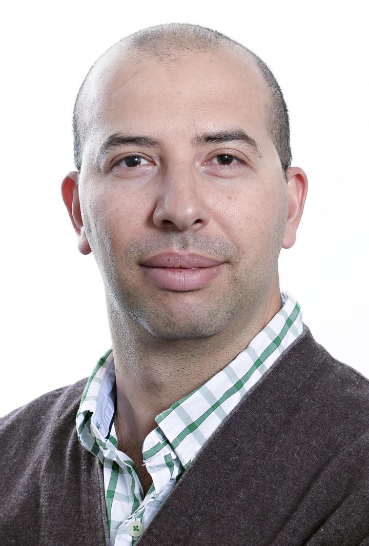 Associate Professor Amro Zayed, York University