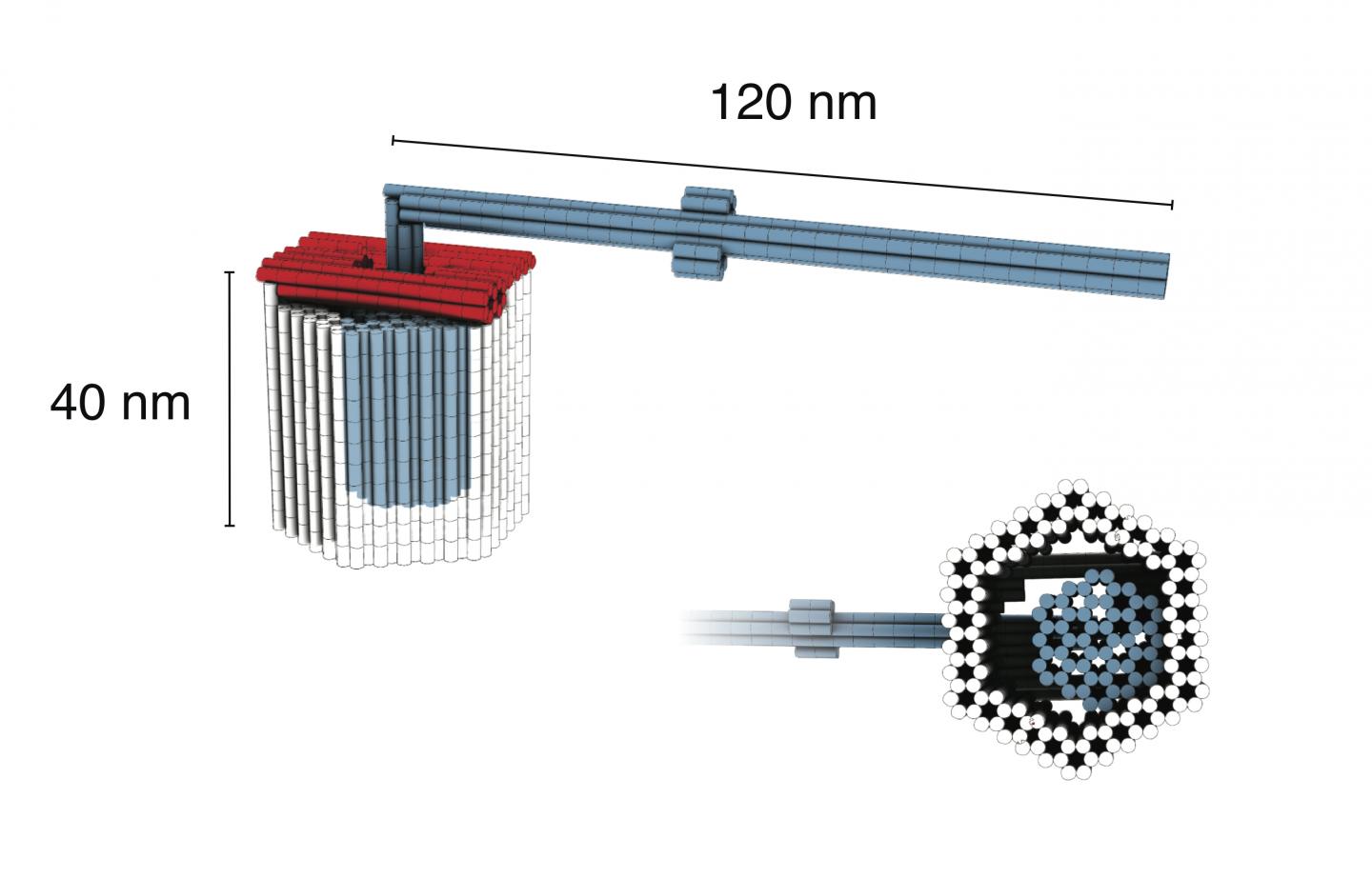 Nanoscale Rotor Made from DNA