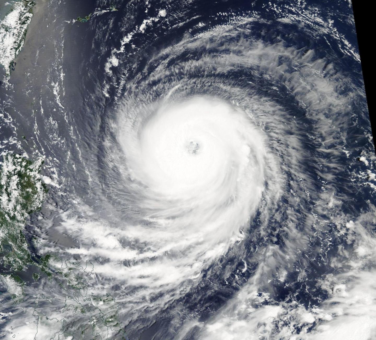 Aqua Image of Goni