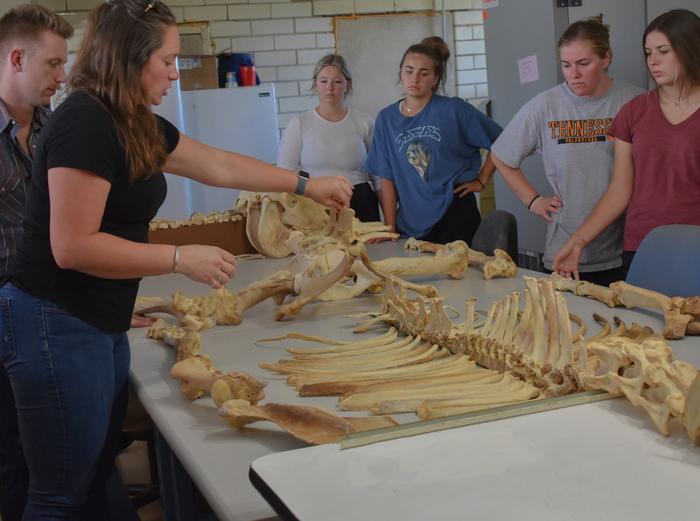 F.U.S.E. Animal Science