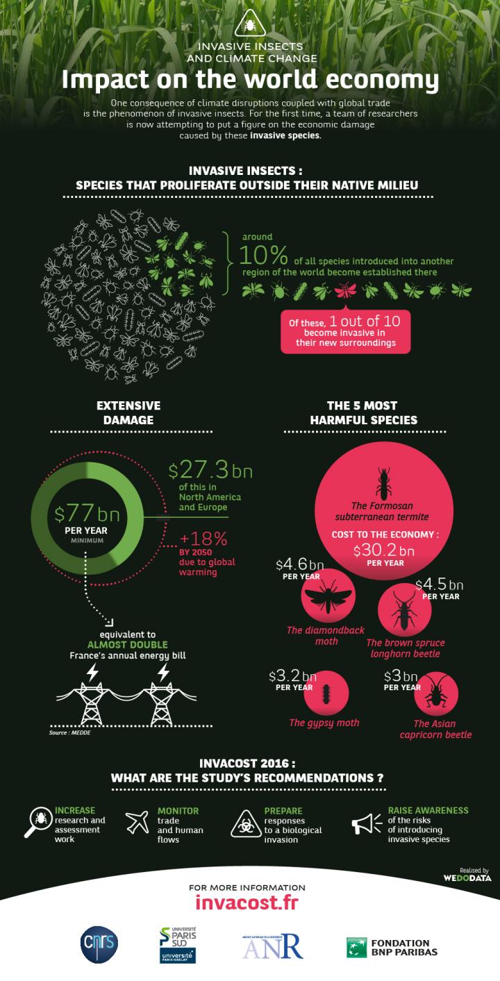 Invasive Insects and Climate Change: Impact on the world economy