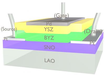Proton-gated Transistor