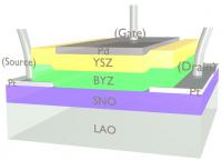 Proton-gated Transistor