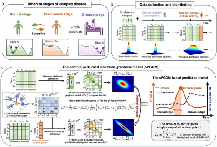 Figure 1. Schematic illustration of sample-perturbed Gaussian graphical model (sPGGM) for identifying pre-disease stages.