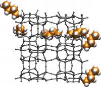 Molecular Worm Algorithm