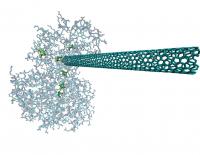 Wired Up Enzymes