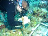 David Weinstein, University of Miami Rosenstiel School of Marine & Atmospheric Science
