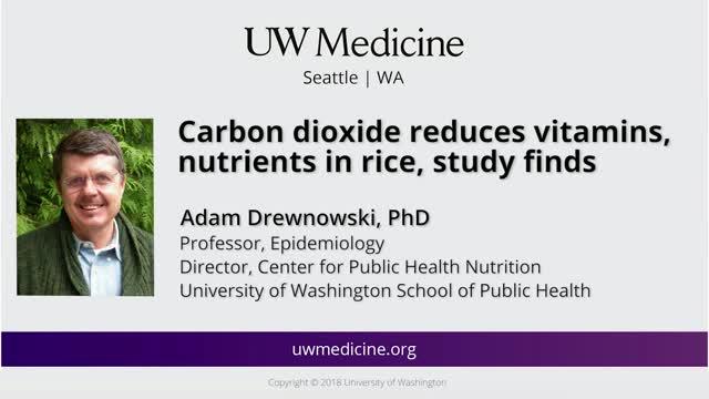Rice's Nutritional Value Decreases in Higher CO<SUB>2</SUB> Concentrations