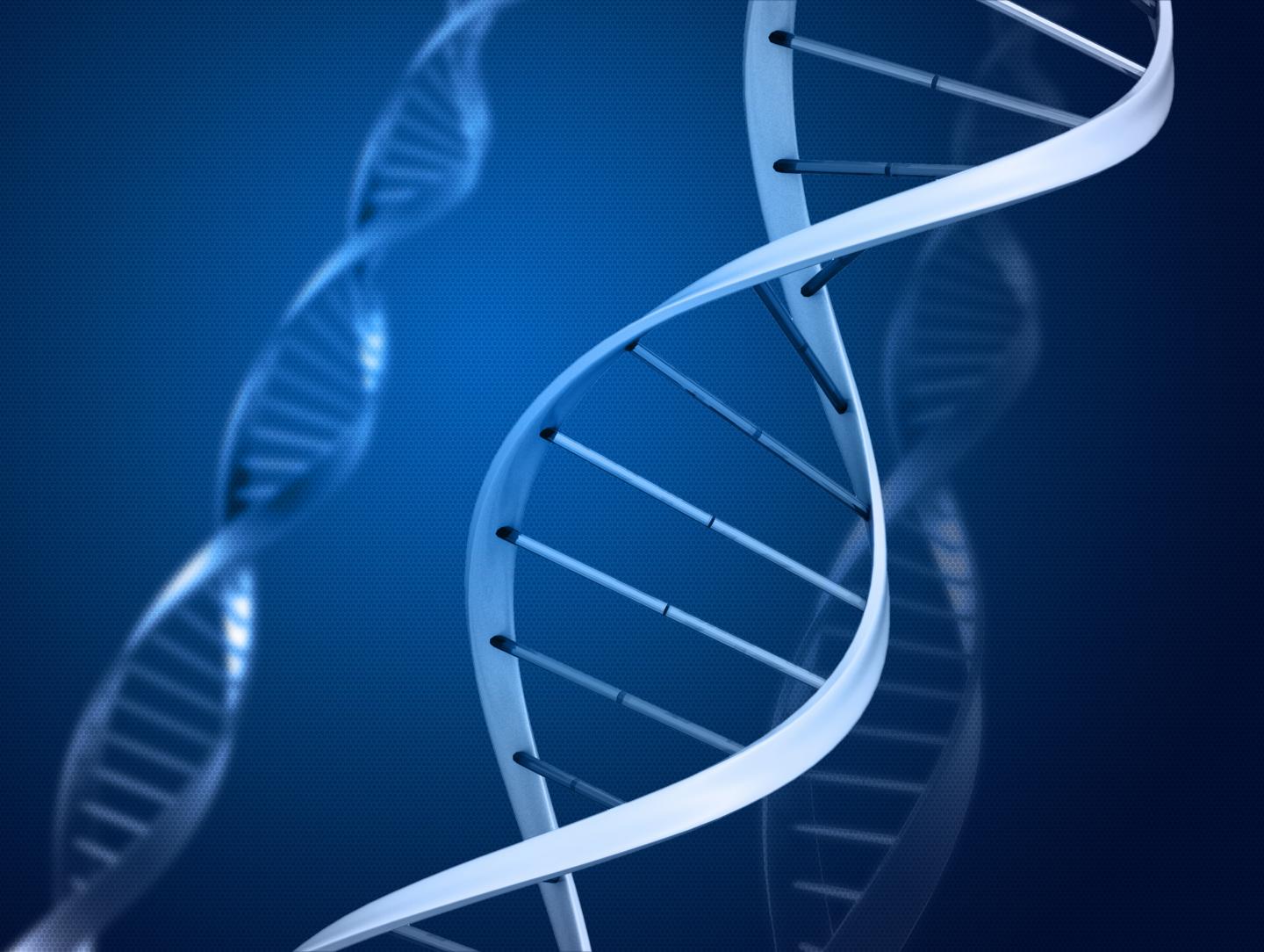 A DNA Molecule