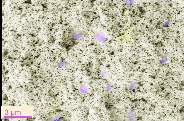 Large area biocoating