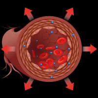 bio-ADM / Endothelial Function Biomarker