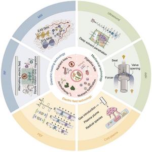 Schematic diagram of the relationships between physical technologies and nutritional characteristics related to staple food crops.