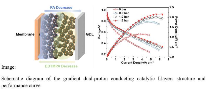 Schematic diagram of the gradient dual-proton conducting catalytic Llayers structure and performance curve