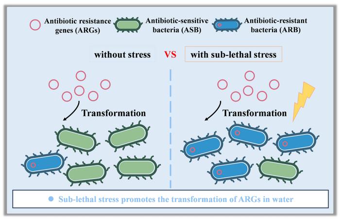 Enhanced transformation mechanisms of antibiotic resistance genes in water under the stress of sub-lethal photocatalysis