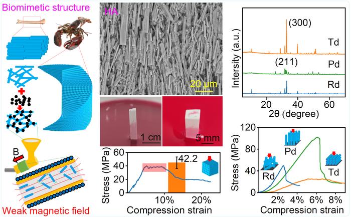 The principle of weak magnetic field-assisted 3D printing and microstructure and properties of HA bioceramics with biomimetic structures