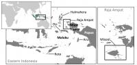 Coral Triangle