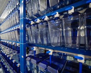 University of Cincinnati zebrafish research facility