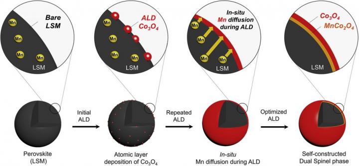 Schematic Illustration 