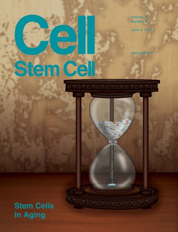 <I>Cell Stem Cell</I> Cover