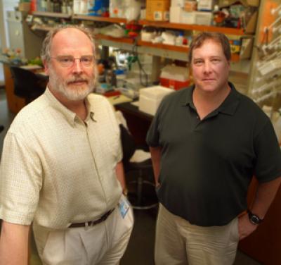 Andrew Mellor, Medical College of Georgia, and Ralph Tripp, University of Georgia