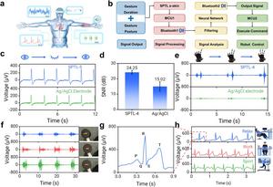 Smart Electronic Skin Enables Continuous Health Monitoring and Human–Machine Interaction