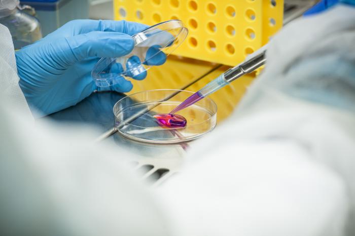 UC3M Bioengineering Department Laboratory.