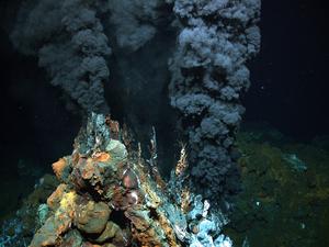 Deep-sea hydrothermal vent