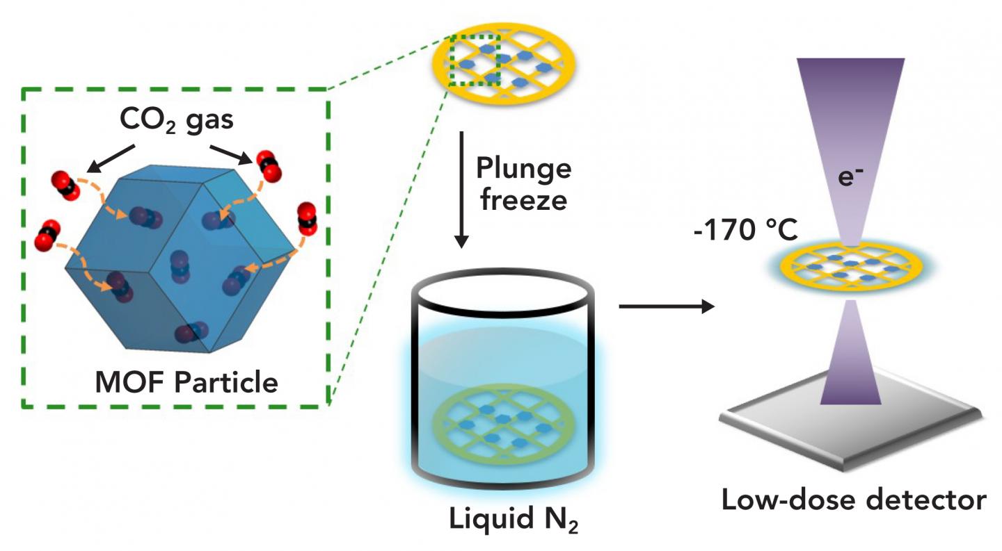 Carbon Dioxide Molecules