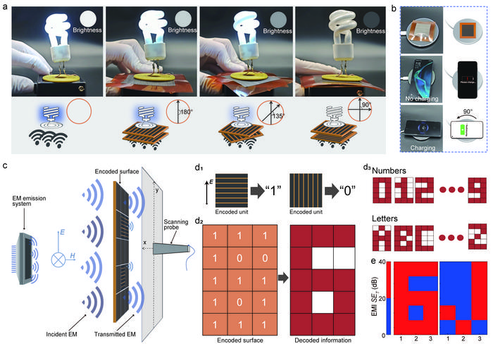 Applications of the LIG based metasurface