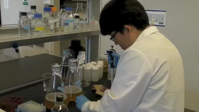 Squid Polymer