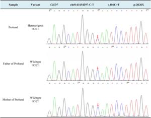 Sanger sequencing results.