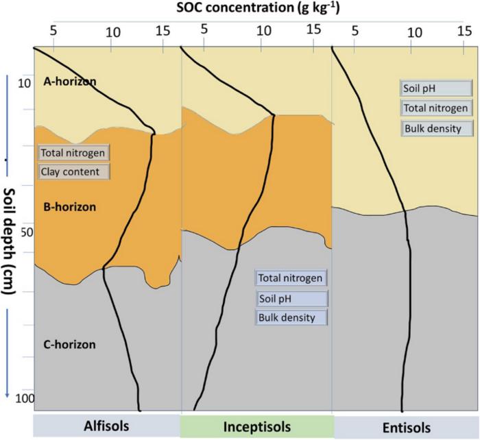 Profile distribution and edaphic controls of soil organic carbon in dominant soil orders of Chitwan, Nepal