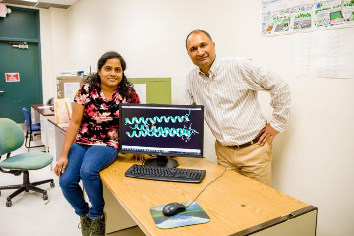 Chemists create new artificial enzyme