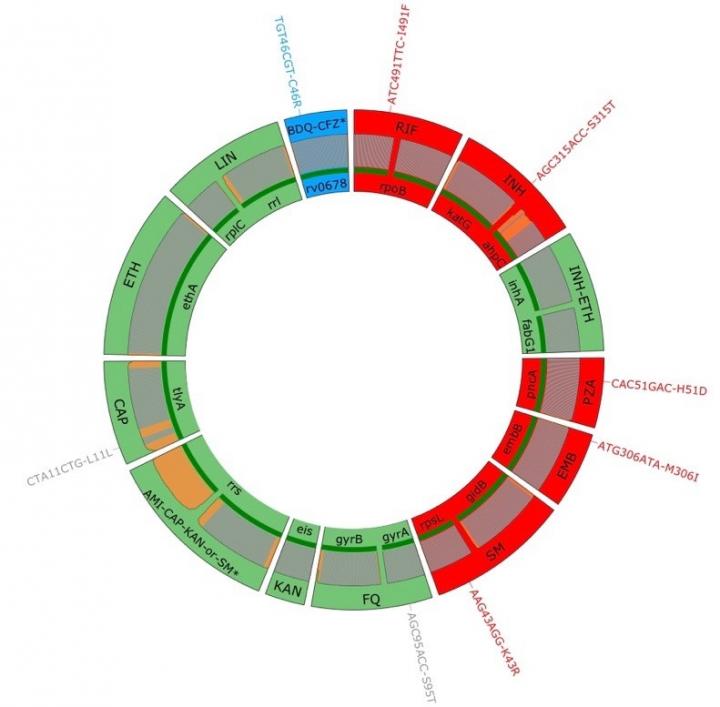 Deeplex-MycTB® Assay
