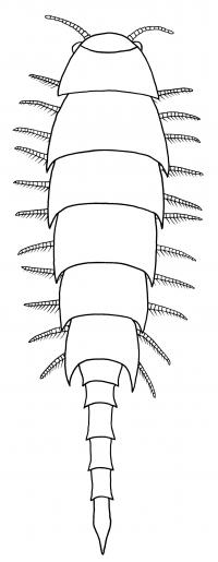 Reconstruction