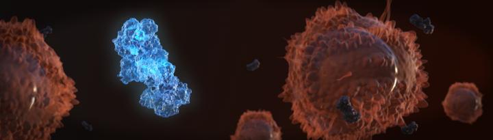 Cas9