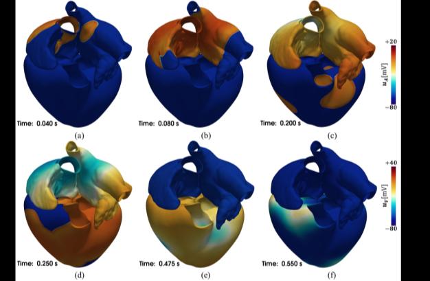 Image of iHEART Project