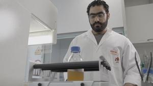 Mohamed Sarhan cultivating and examining colonies of a yeast strain
