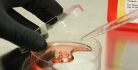 Sample in Allsopp lab