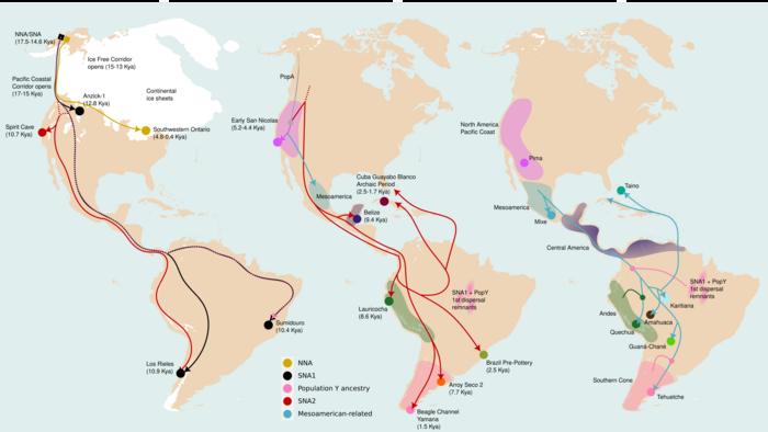 Three major dispersals shaped the genetic diversity of the indigenous peoples of South America.